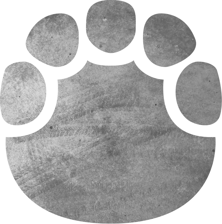 Mastidon Footprint